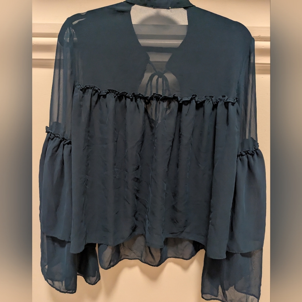 Sheer Blouse - Picture 4 of 4